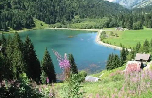 Appartement chalet - Le Vnipi - Photo 3