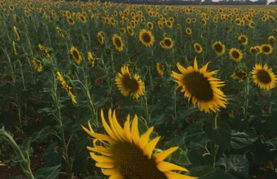 Casa Rural Baobab - Foto 21