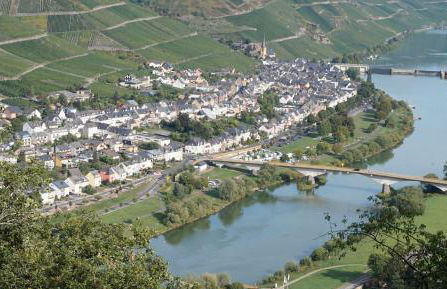 Ferienwohnungen Forneck - Foto 12