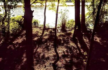 Cozy Wood Shed Tiny House Near Old Hickory Lake w/ Full Kitchen, Fire Pit & Breakfast - Foto 54