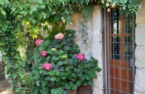 Villa Le Casaline - Foto 43