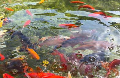 House of sunset 2 Sivas - Photo 37