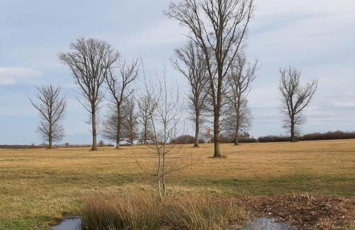 Ferienwohnung mit eigenem Eingang und Garten für 2-4 Personen - Foto 16