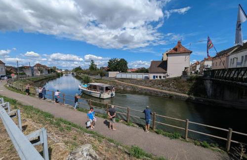 Le Studio Jungle - Foto 10