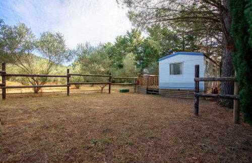 Kenya - Écuries du Mas di Gau - Foto 22