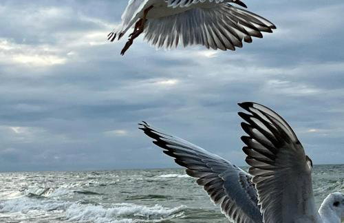 Młyn Sea&Golf w Kołczewie - Foto 37