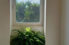 Casina Grassi In Salento - Foto 31