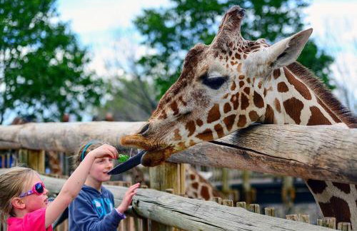 Kings Overlook Epic Retreat w Pikes Peak Views - Foto 48