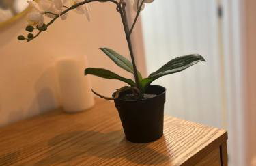 Little House Annexe - Foto 53