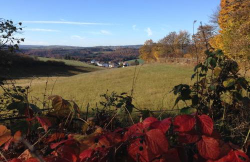 Fewo Vulkaneifel - Foto 36