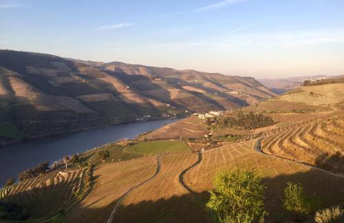 Casa da Lurdinhas - Foto 34