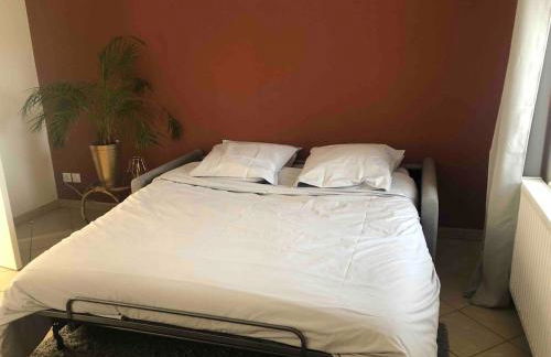 Gîte des Chaumottes, meublé avec terrasse - Foto 13