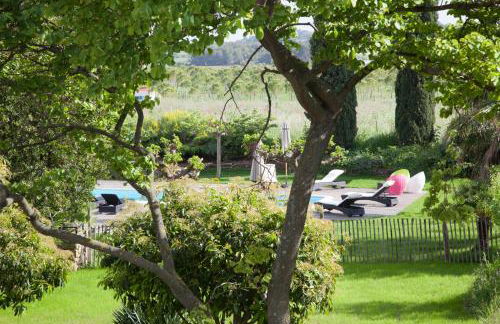 Le Sauvignon - Foto 9