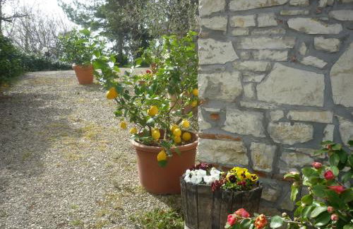 Complesso colonico Pogginano - Foto 18