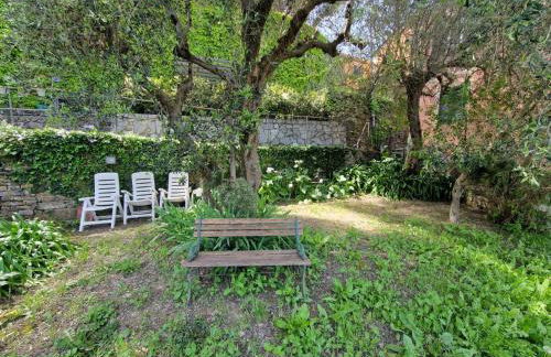 Un Giardino Su Camogli by Holiday World - Foto 39