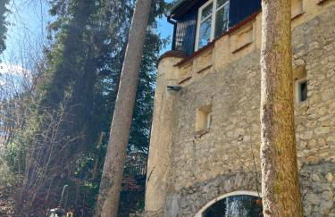 Schloss Suggenstein - Foto 16