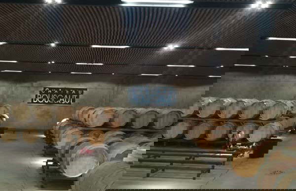 Graves and Entre-deux-Mers Winery Visits & Wine Tasting - Foto 5