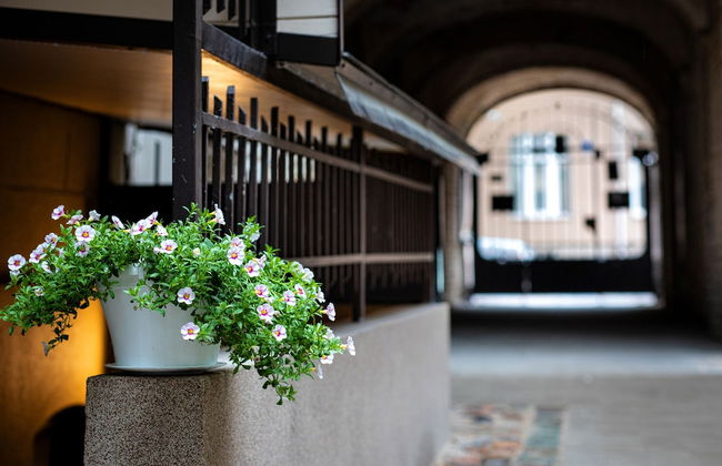 Old Riga Apartments - Photo 60