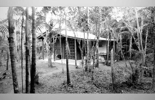 Chalé Saíra - casa simples no meio da Mata Atlântica! - Photo 22