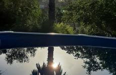 Casa das 3 Palmeiras - Foto 49