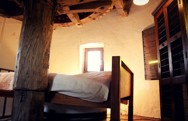 De Reus van Horebeke - Photo 6