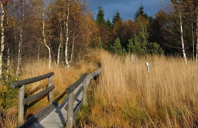 Mrs. Monika Rasehorn - Foto 12