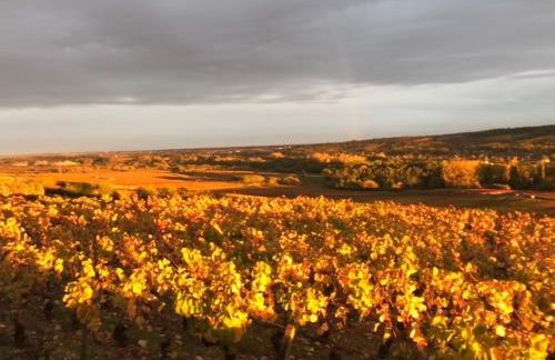 Cottage Apolline - Foto 11