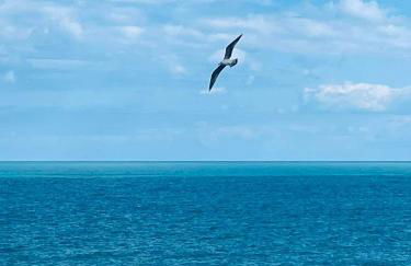 Attico Suite spiaggia Bari - Foto 8