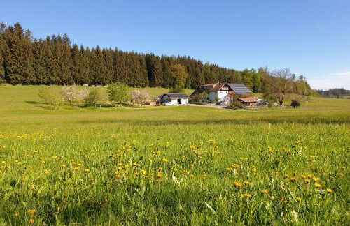 Ferienwohnung 'Get Moor' - Foto 17