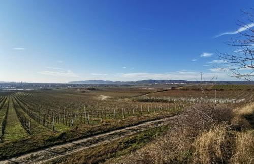 Ferienwohnung Haus Willi - Foto 34