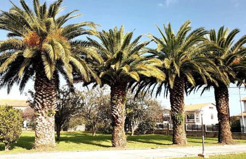 Haz de mi Rincón en Mugardos tu experiencia. - Photo 39