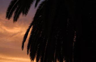 Villa Casa Papaya - All Year Heated Pool - Foto 25