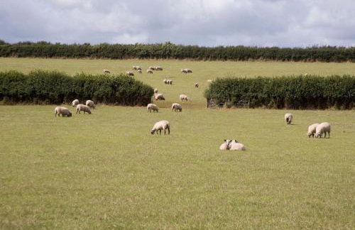 The Stables @ Higher Stancombe Farm - Foto 39