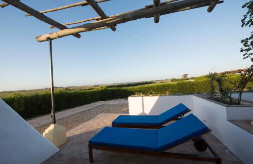 Herdade Do Touril - Foto 30