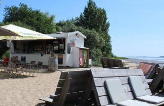 ferienwohnungen-deichgraf - Foto 10