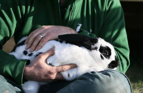 Eco-Domaine La Fontaine - RESIDENCE-SPA - 300 m Plage de la Fontaine aux Bretons - Foto 6