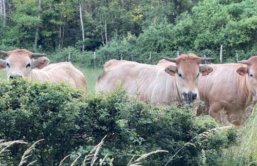 La Closerie de Gigny Maison Templiere avec Piscine,jacuzzi - Foto 34