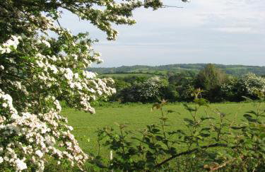 The Granary at Cornish Barn Holidays - Foto 39