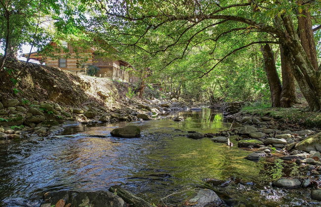 Creek Heaven - 2 Bedrooms, 2 Baths, Sleeps 6 Cabin by RedAwning - Foto 11