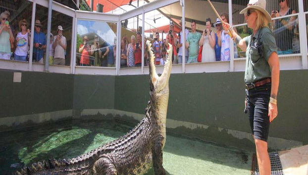 Entradas de admisión general a Crocosaurus Cove - Foto 2