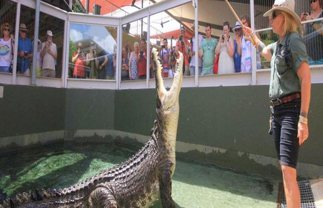 Crocosaurus Cove General Admission Tickets - Photo 2