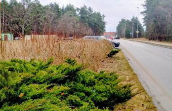 Apartament przy lesie - Photo 32