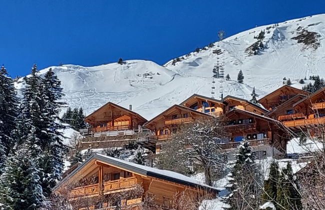 Alpage Immo Location Service - Foto 50