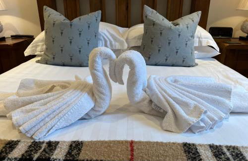 Tower Ridge Apartments - Photo 35