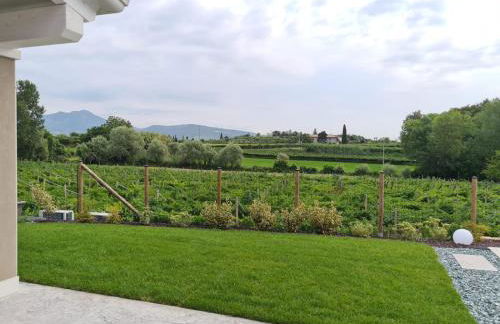 Residence Le Aromatiche - Foto 34