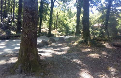 Casa das Cerejeiras - Foto 11