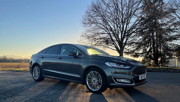 Traslado privado entre Lourdes Tarbes y el aeropuerto. - Foto 3