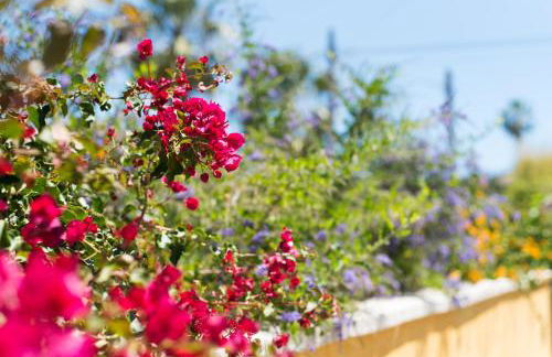 Villa Rio Salado - Photo 70