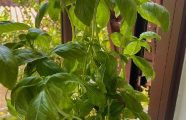 Appartamento La Fontina - Foto 19