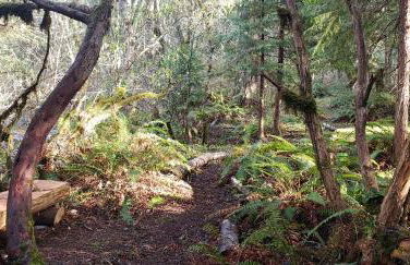 Blissful Solitude Cottage - Foto 48